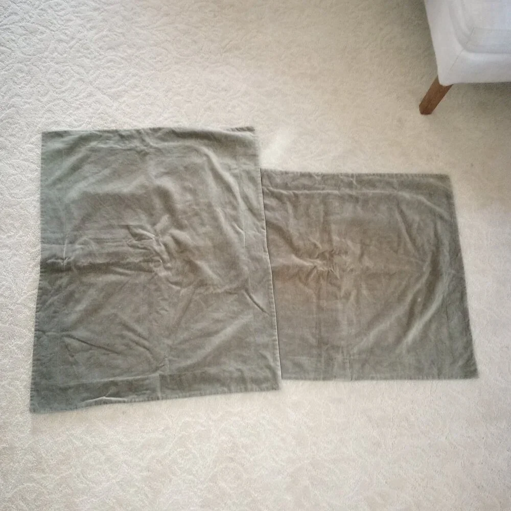 Pottery Barn Green Velour Velvet Button Closure Shams